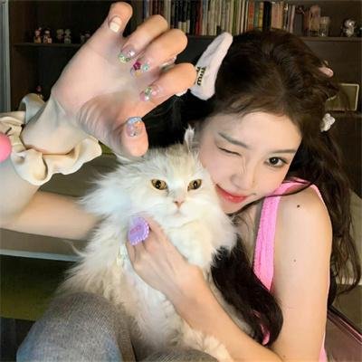 反恐特警组第五季